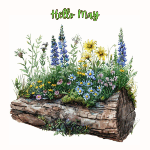Hello May